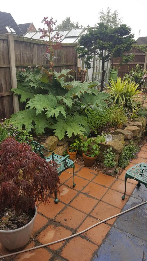 Self Contained Ground Floor Bedroom With Ensuite Wet Room Continental Breakfast Included Parking For 1 Car Outside Heanor Exterior foto